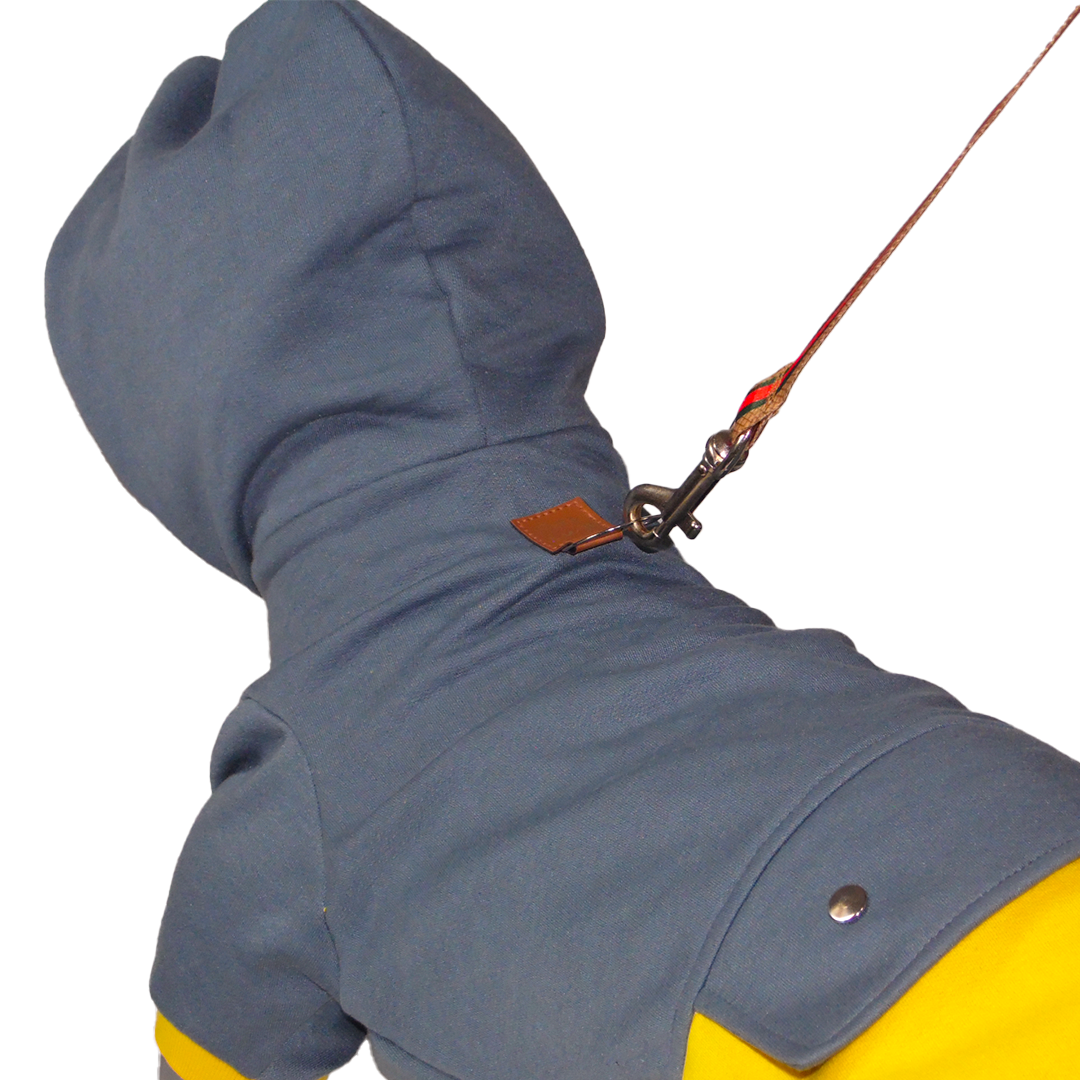 Clothing for Dogs and Cats - Thom Sweatshirt