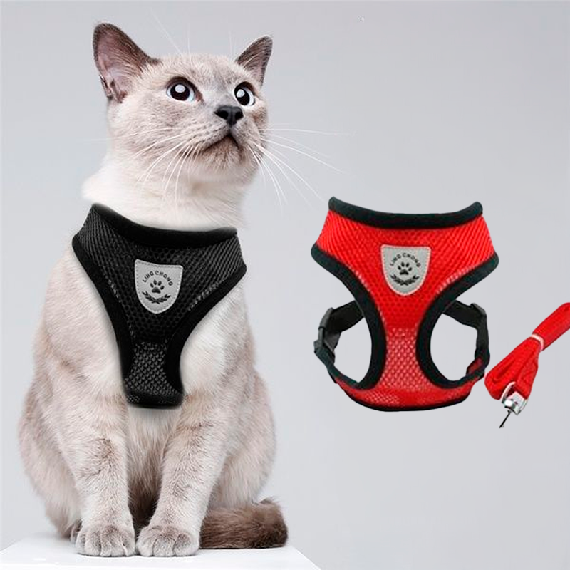 Cat Chest Harness