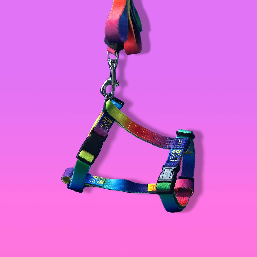 Rainbow Chest Dog Harness with Leash