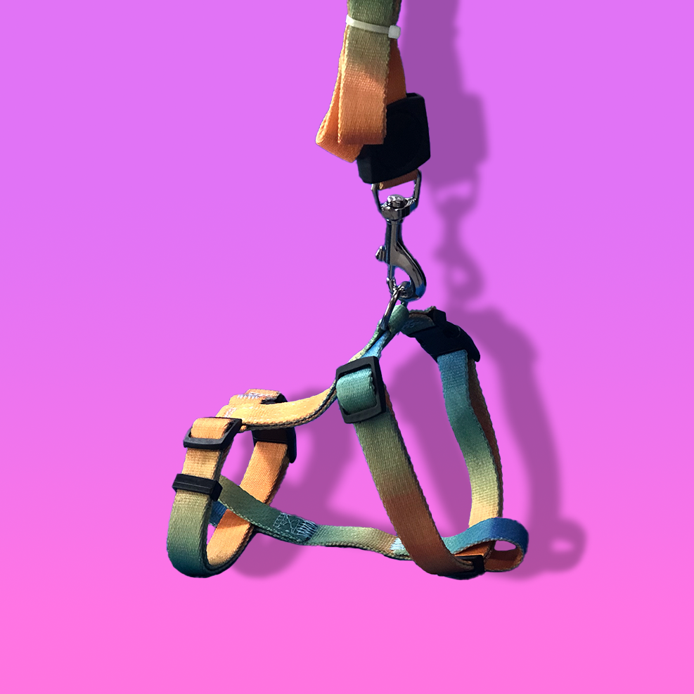 Rainbow Chest Dog Harness with Leash