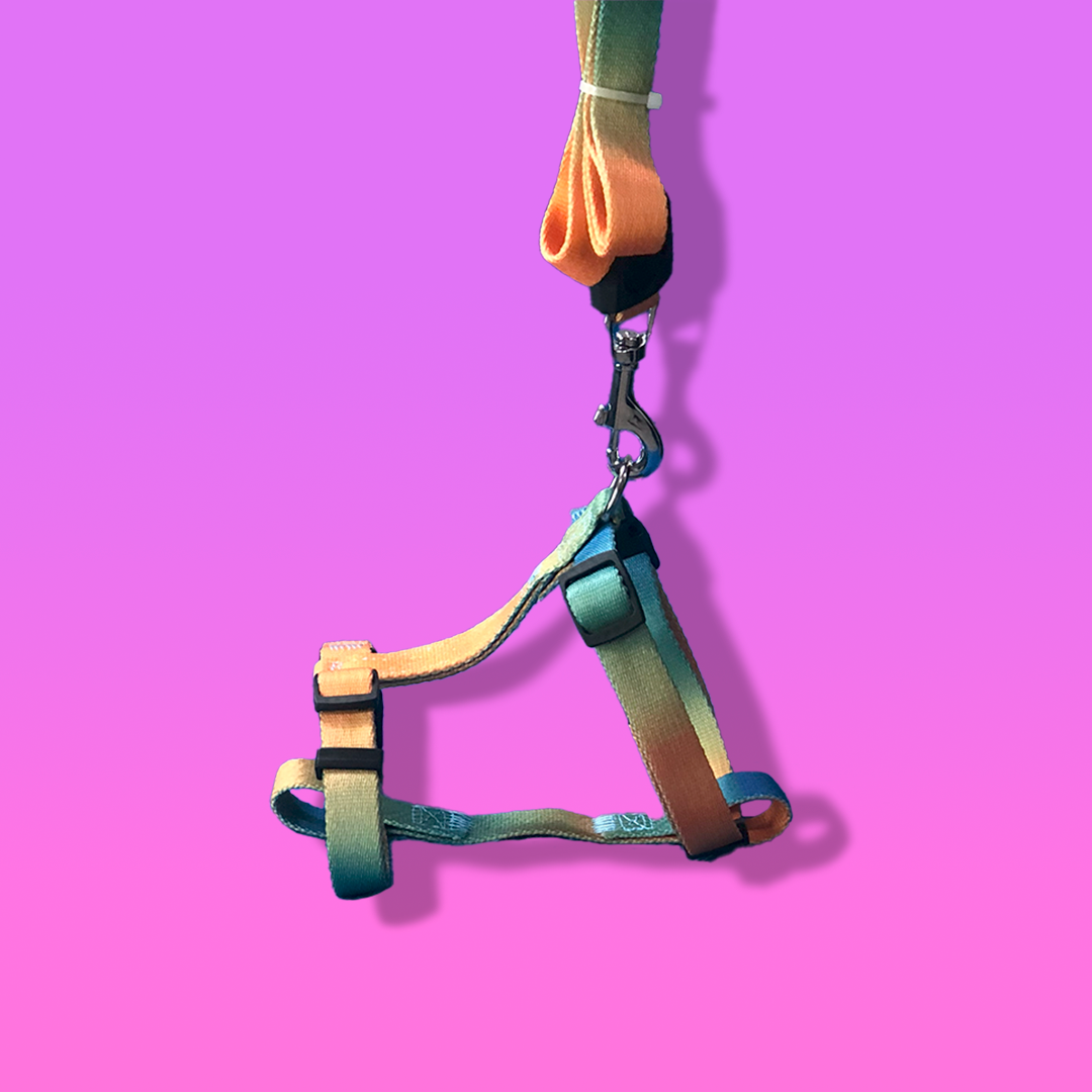 Rainbow Chest Dog Harness with Leash