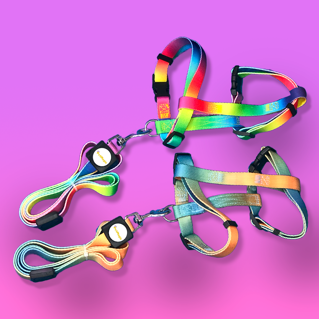 Rainbow Chest Dog Harness with Leash
