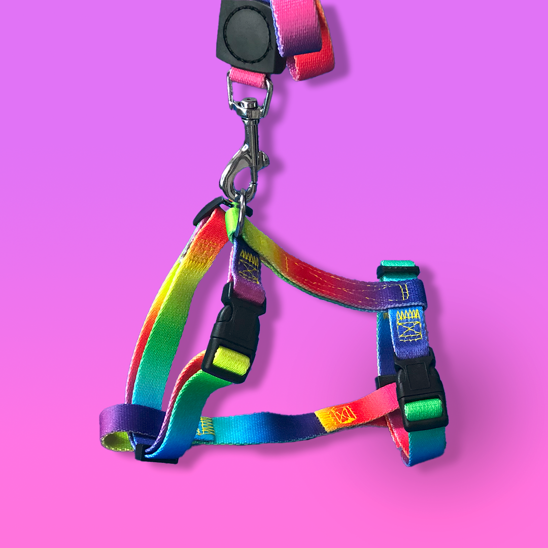 Rainbow Chest Dog Harness with Leash