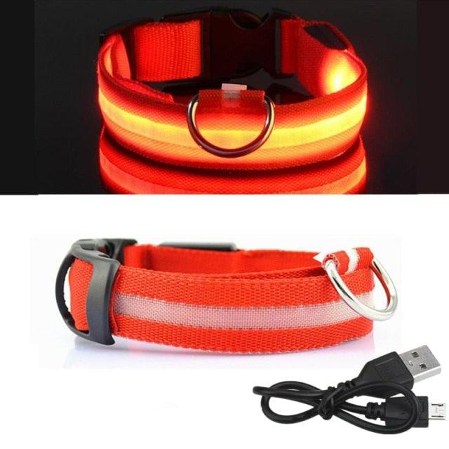 LED Dog Collar - USB Charger