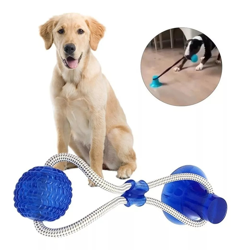 Pull-along ball for dogs