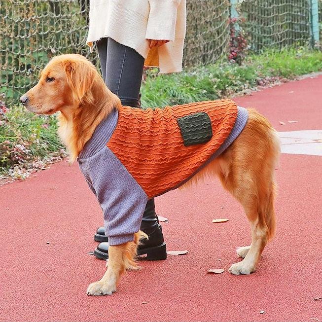 Dog winter clothes - Hoopet sweatshirt