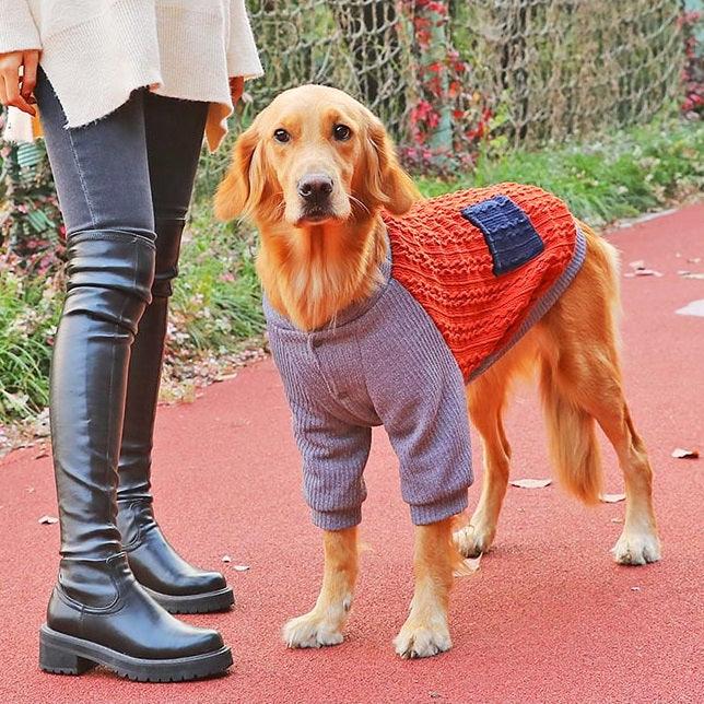Dog winter clothes - Hoopet sweatshirt