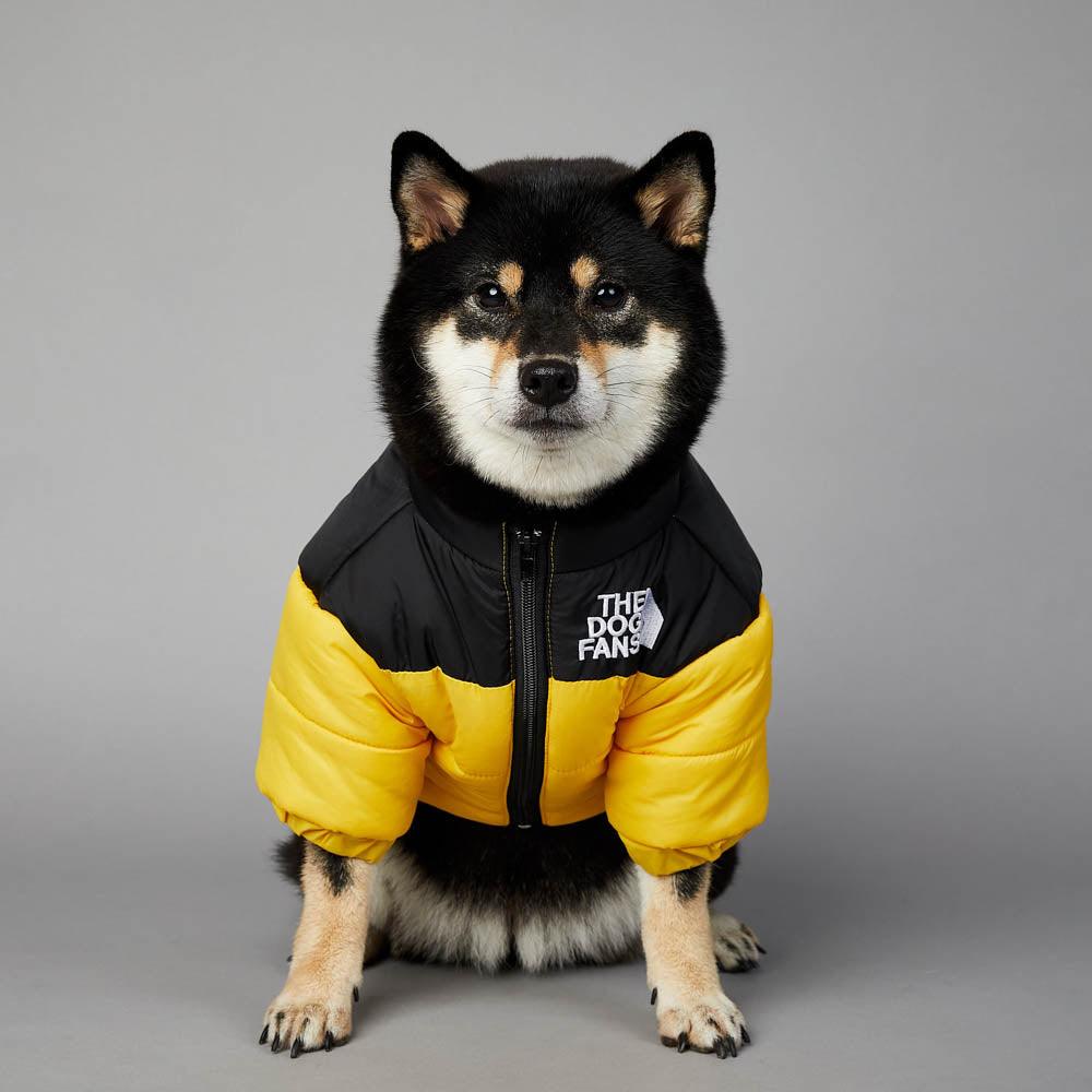 Winter clothing for dogs - The Dog Fans Jacket