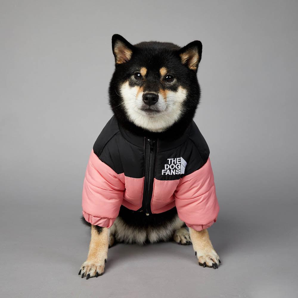 Winter clothing for dogs - The Dog Fans Jacket
