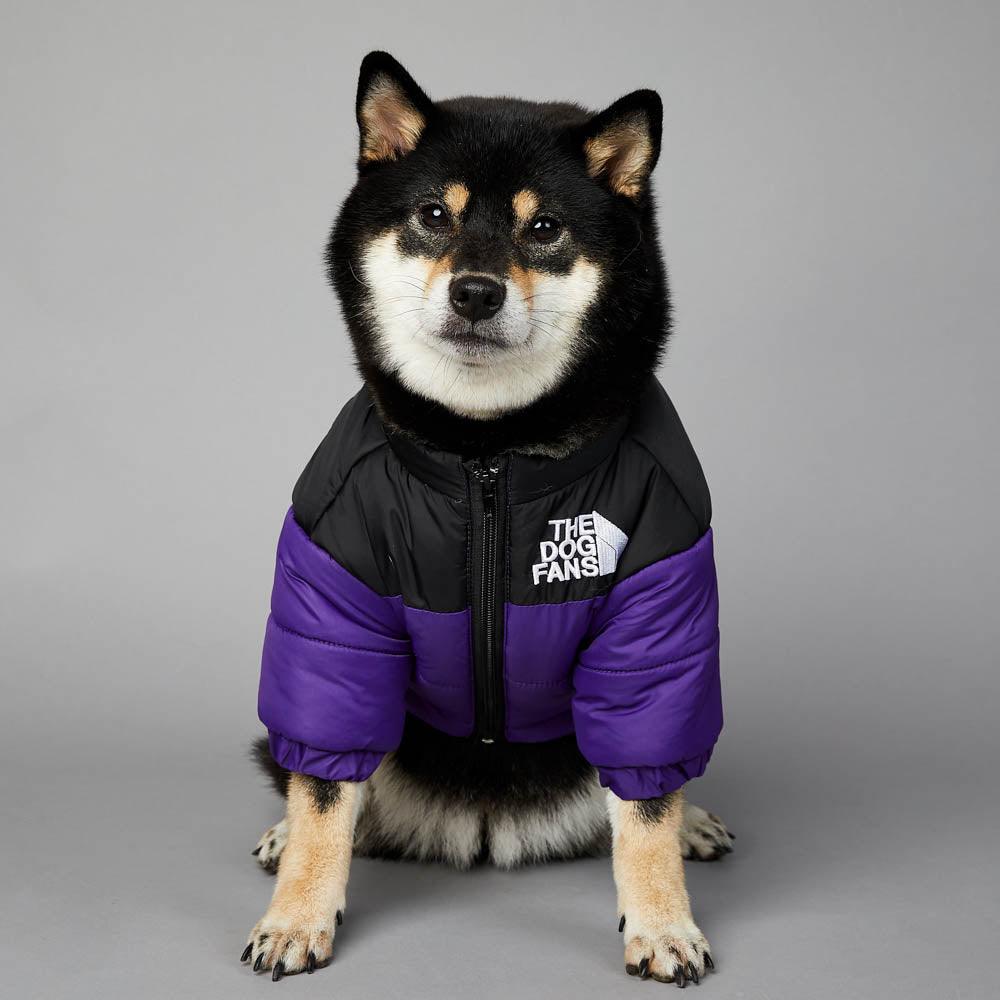 Winter clothing for dogs - The Dog Fans Jacket