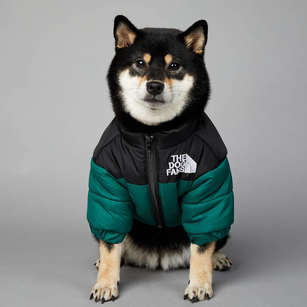 Winter clothing for dogs - The Dog Fans Jacket