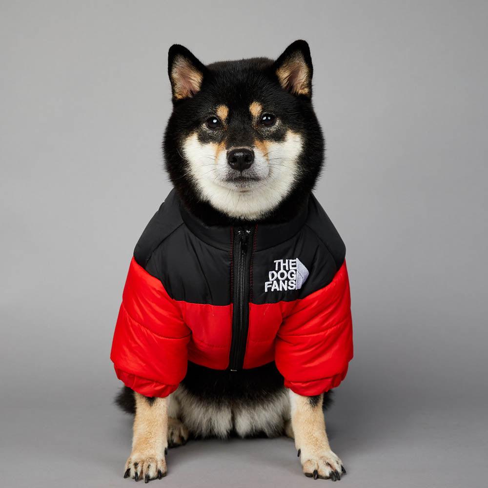 Winter clothing for dogs - The Dog Fans Jacket