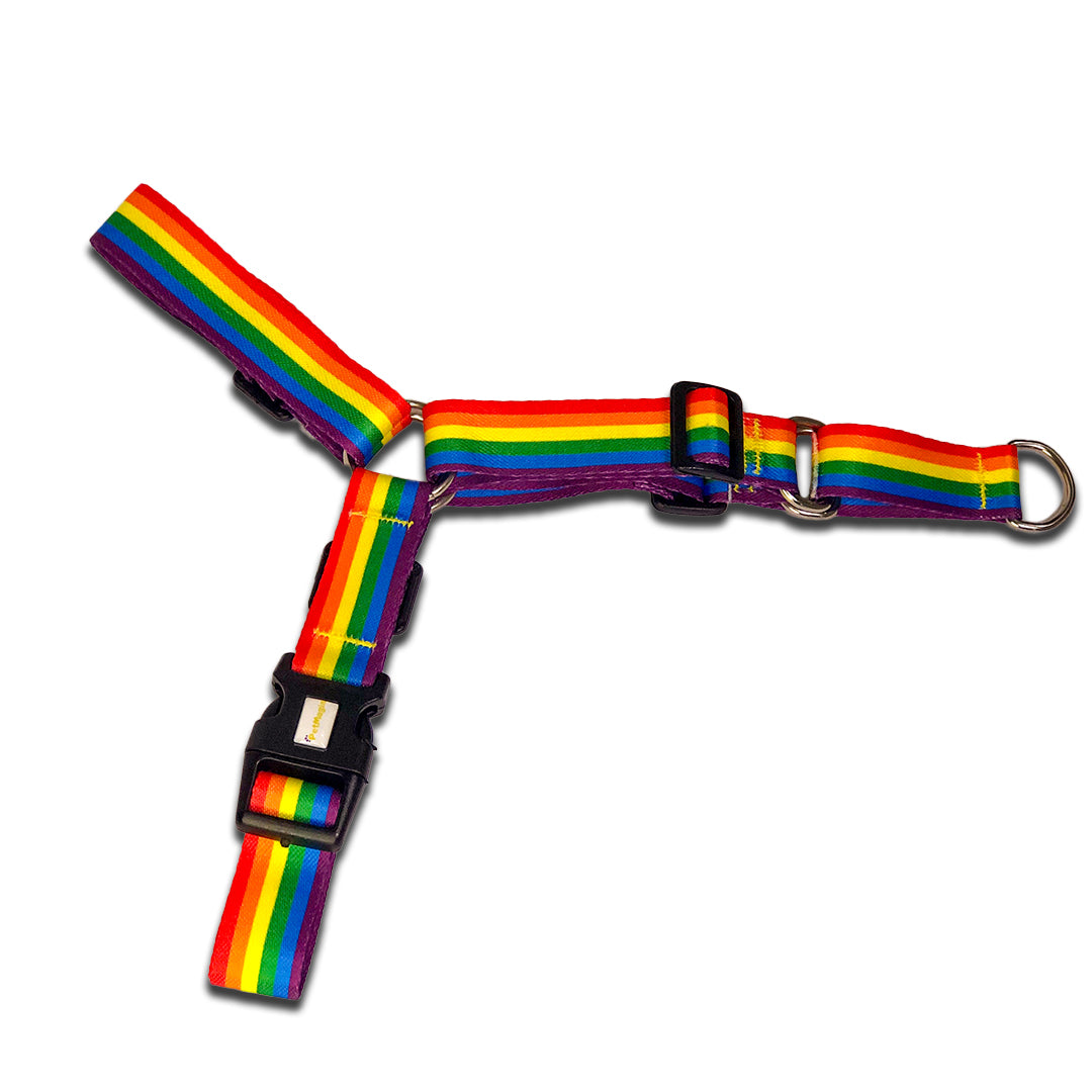 Anti-Pull Dog Harness with Leash - Harness Magia