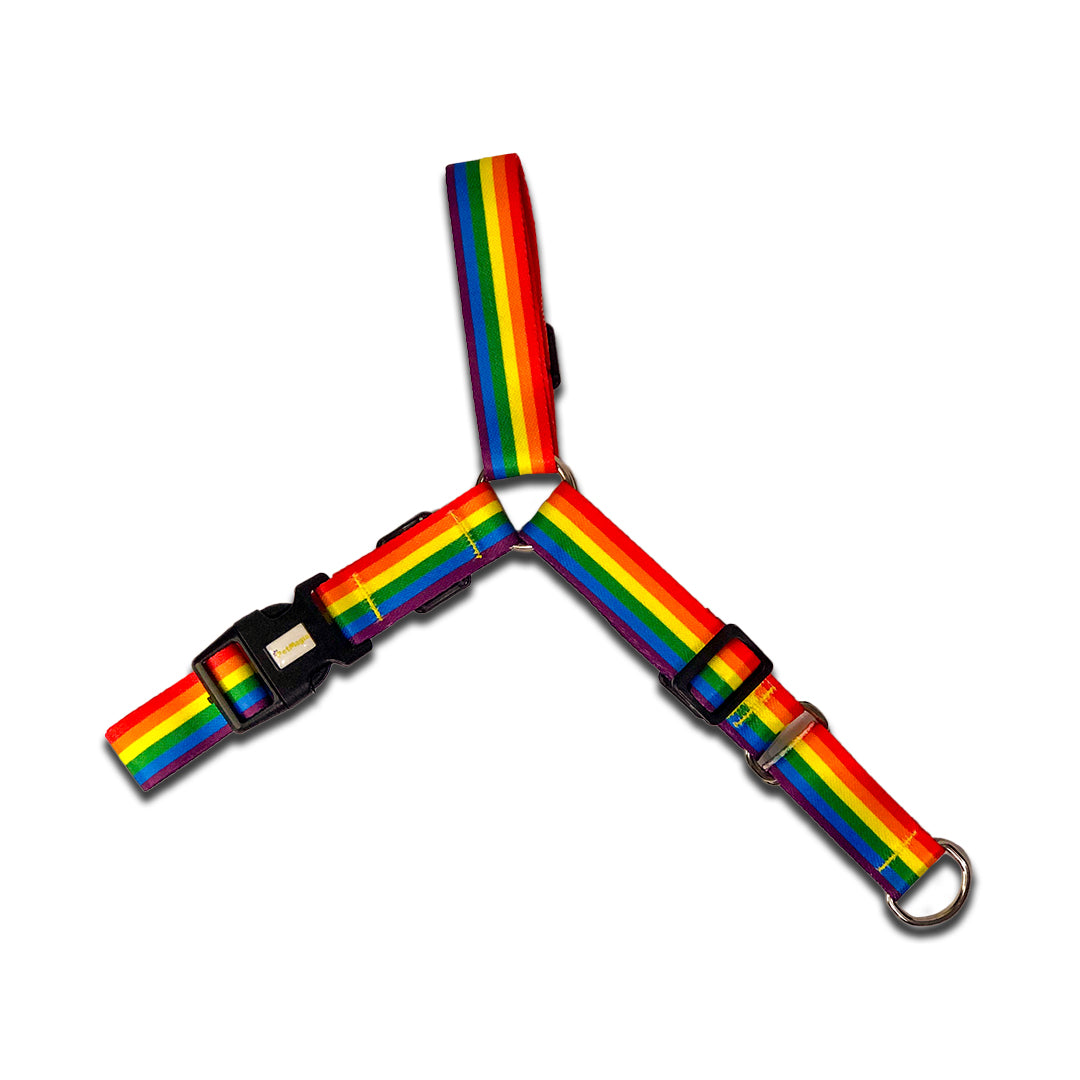 Anti-Pull Dog Harness with Leash - Harness Magia