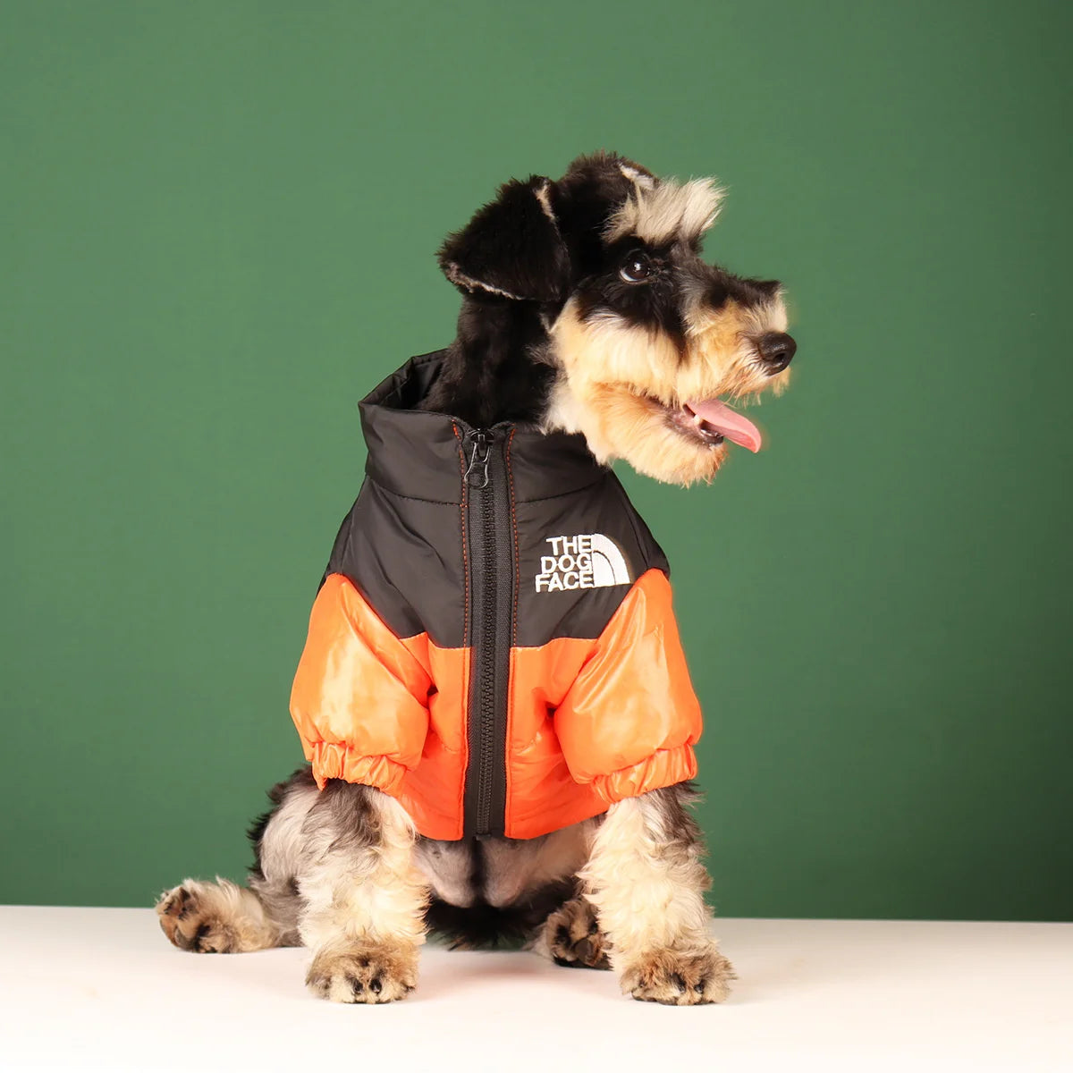 Pet Outlet - Winter Clothes for Dogs - The Dog Fans Jacket - Orange