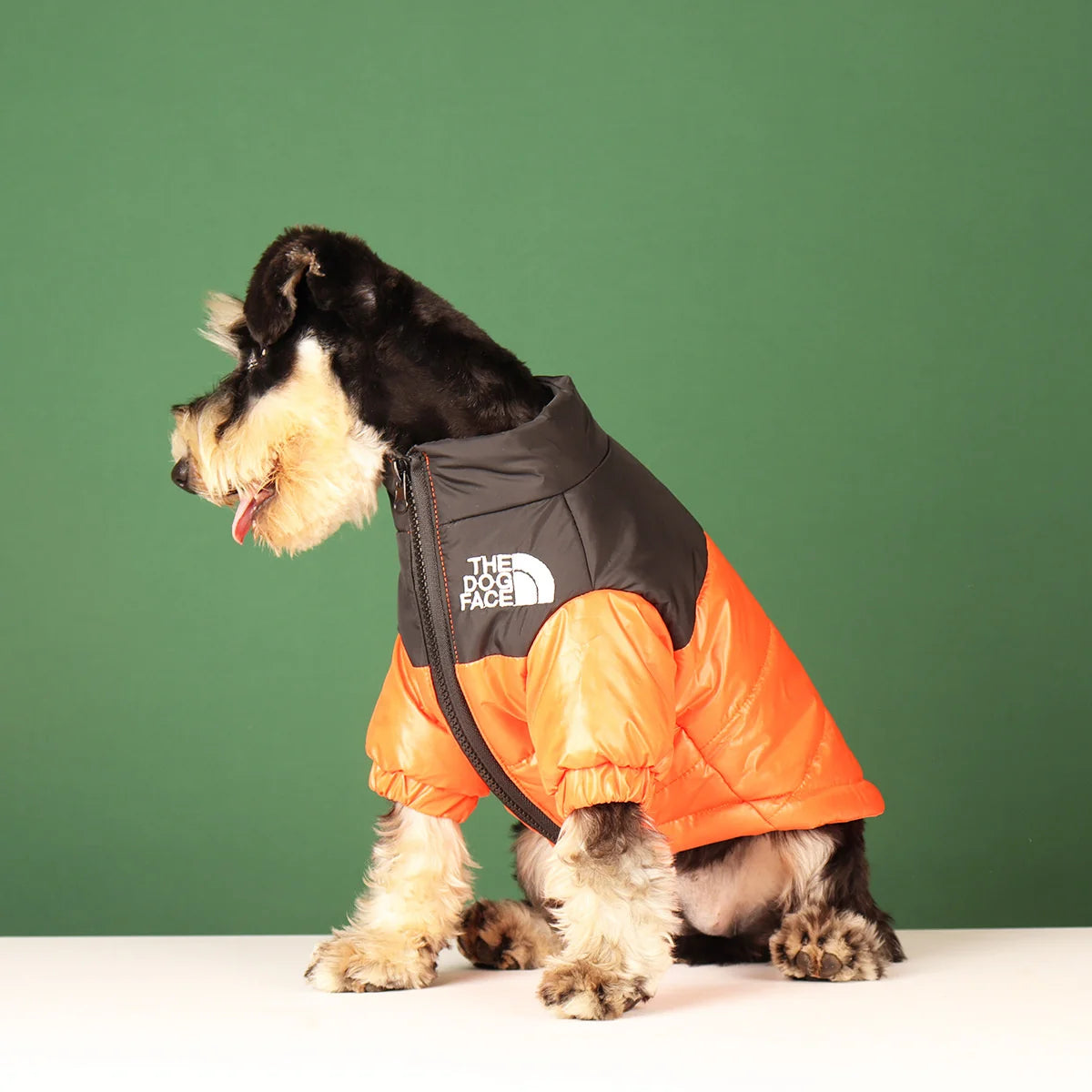Pet Outlet - Winter Clothes for Dogs - The Dog Fans Jacket - Orange