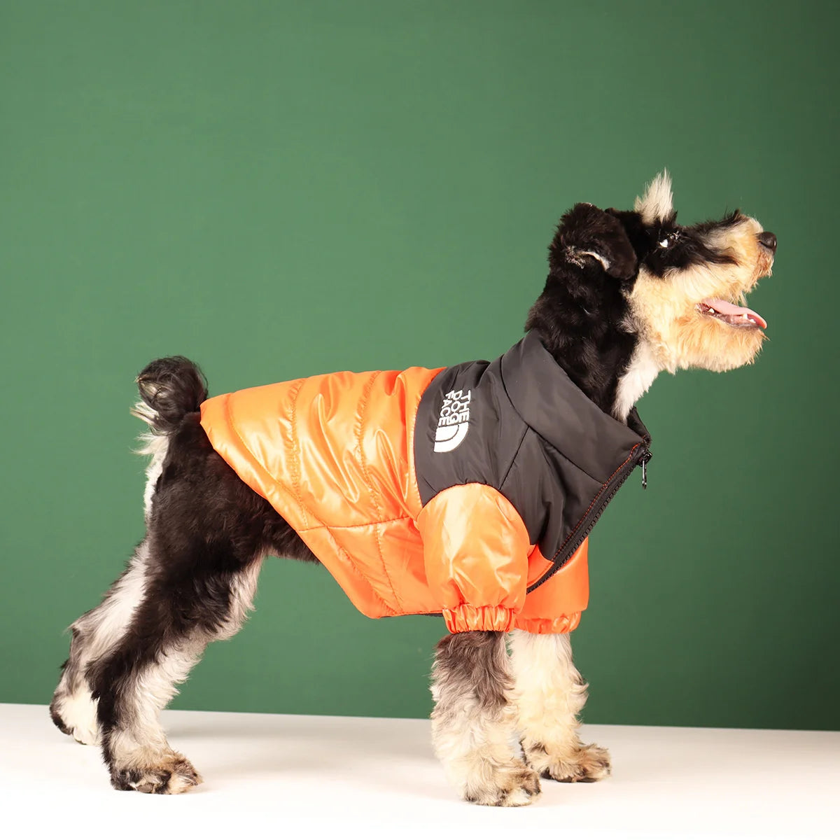 Pet Outlet - Winter Clothes for Dogs - The Dog Fans Jacket - Orange