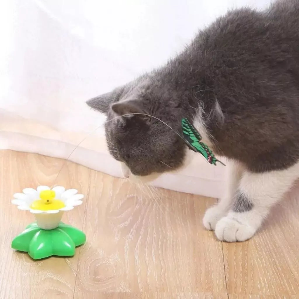Interactive Spinning Butterfly Toy for Cats