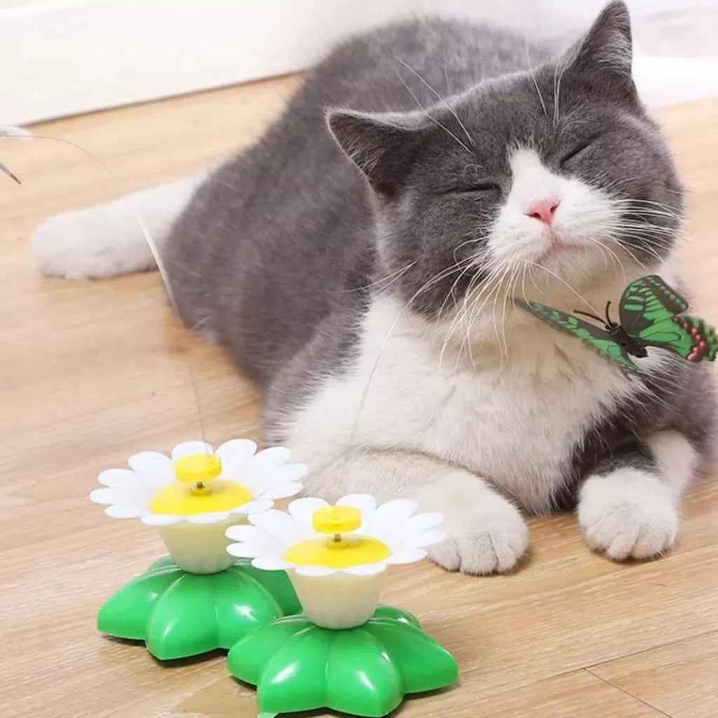 Interactive Spinning Butterfly Toy for Cats