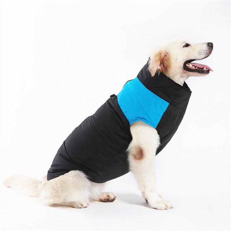 Cold weather vest for dogs