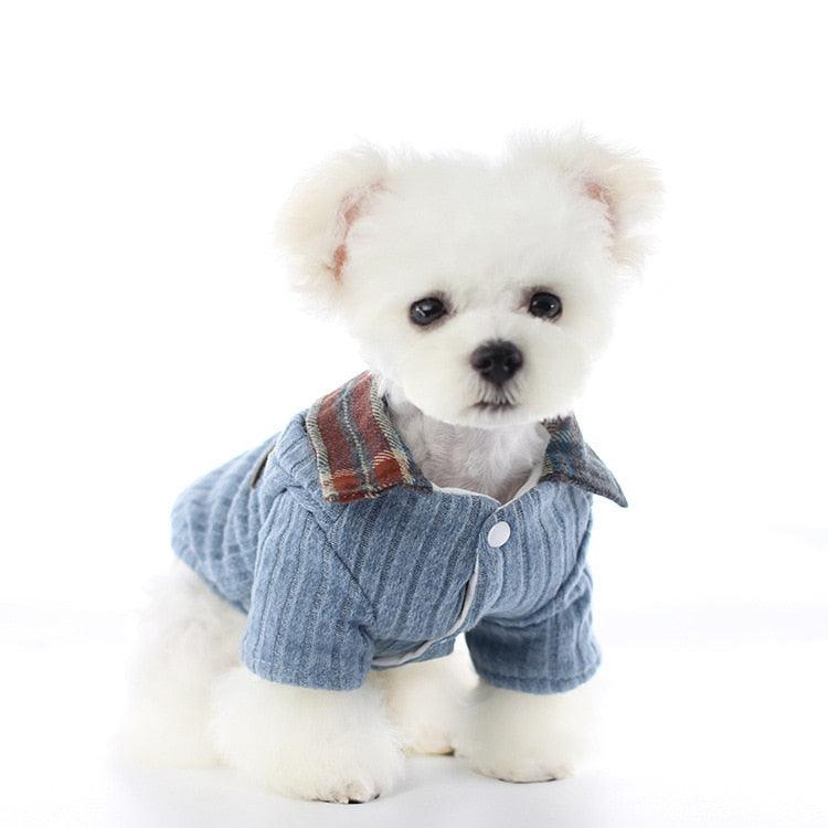 Dog Clothes - Little Jacket with Lining