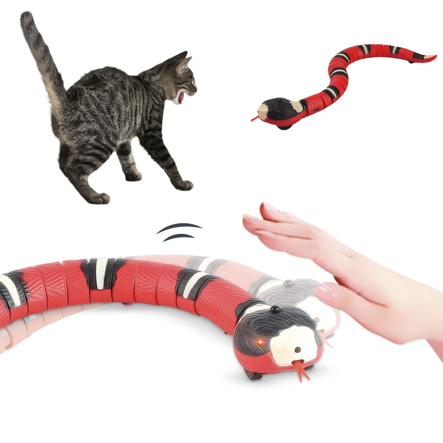 Cat Toy - Smart Snake with USB