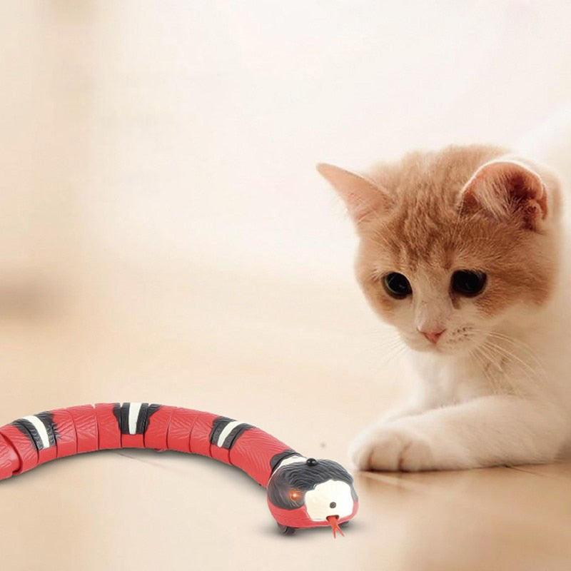 Cat Toy - Smart Snake with USB