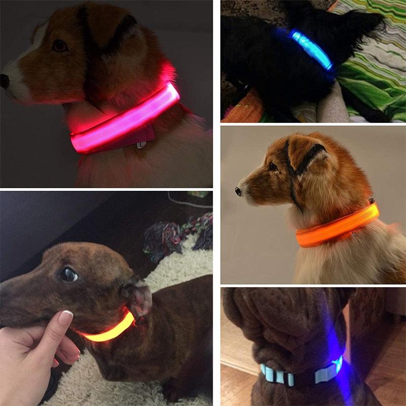 LED Dog Collar - USB Charger